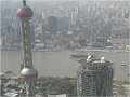 Shanghai (309)